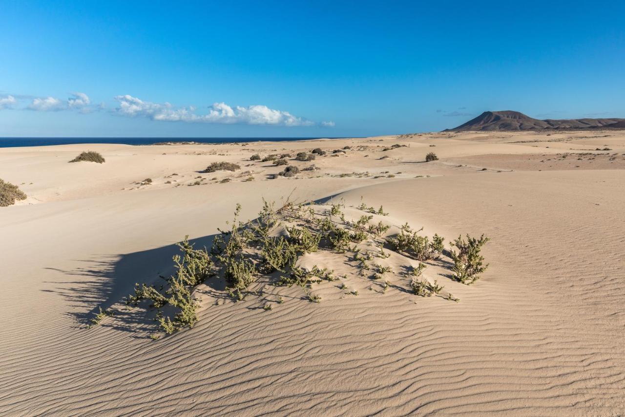 Home2Book Charming Sun & Dunes Apartment Коральео Экстерьер фото